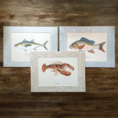 Trio of framed marine portraits—Blackfin Tuna, Mutton Snapper, and Lobster—on rustic wood background.