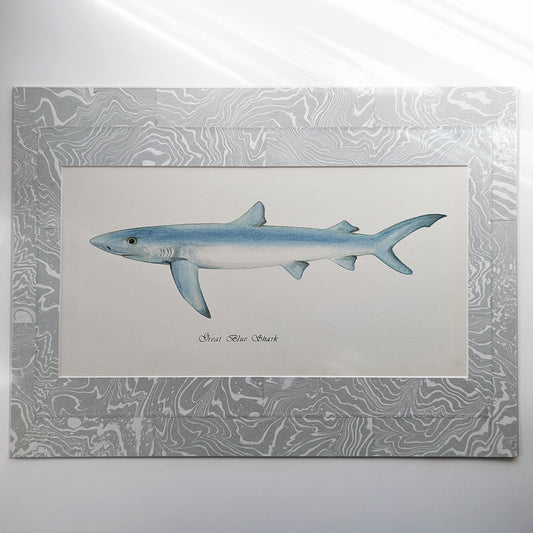 Great Blue Shark gouache watercolor painting matted in a cool gray and ivory suminagashi marbled mat.