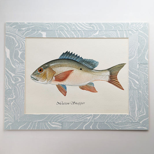 Framed Mutton Snapper gouache watercolor painting mounted in a light blue and white suminagashi marbled mat.