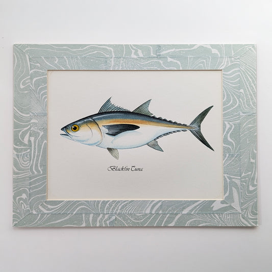Blackfin Tuna gouache watercolor painting mounted in a blue-white suminagashi collage marbled mat.