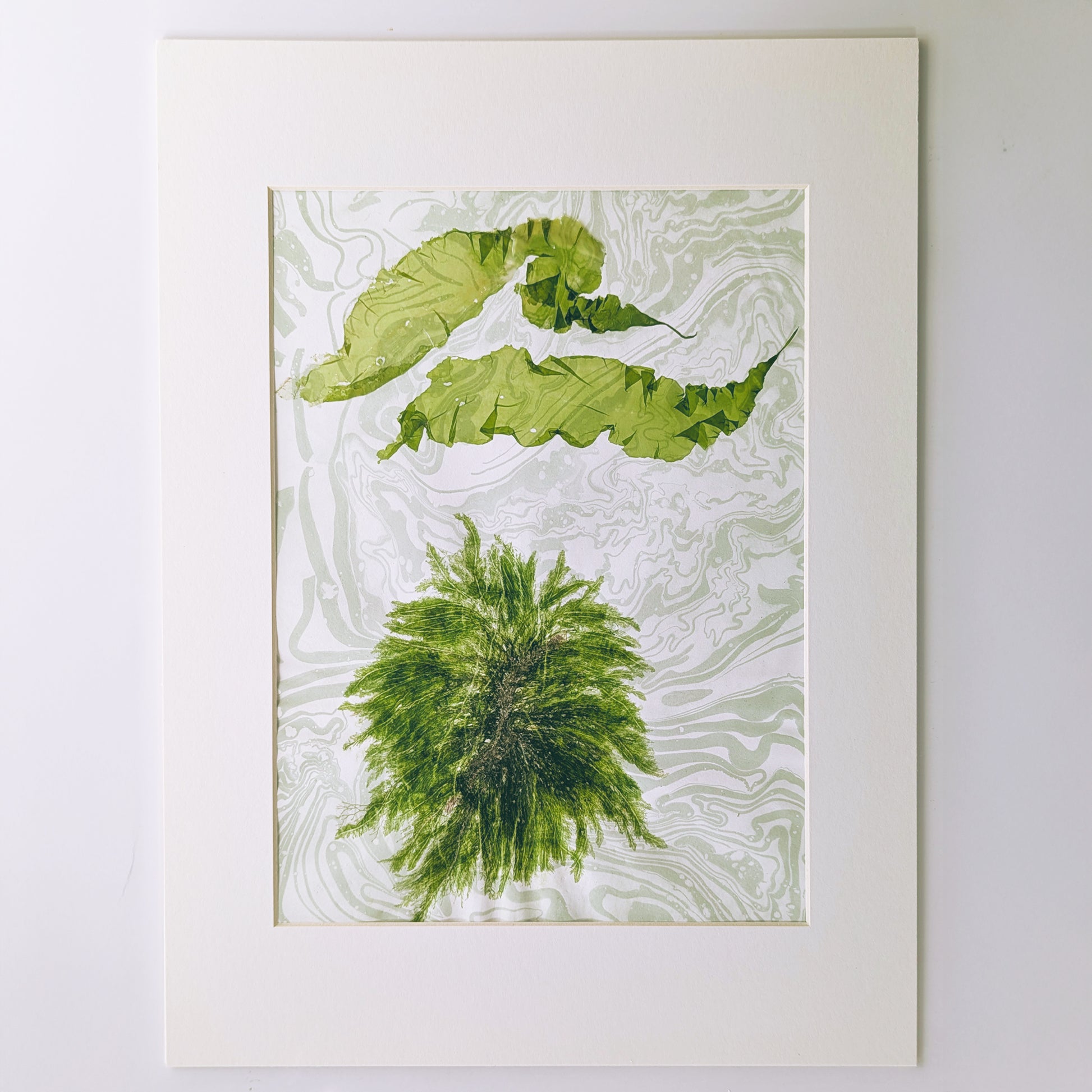 matted pressed seaweed art featuring green palm-like seaweed below two curling ocean-cloud seaweed forms on soft celadon marbled paper.