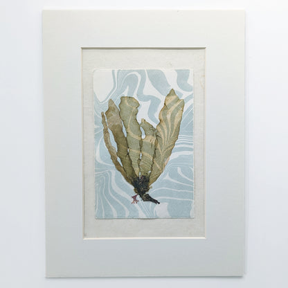 Pressed kelp specimen layered over hand-marbled suminagashi paper in soft tide blue and off white tones, matted in archival off white