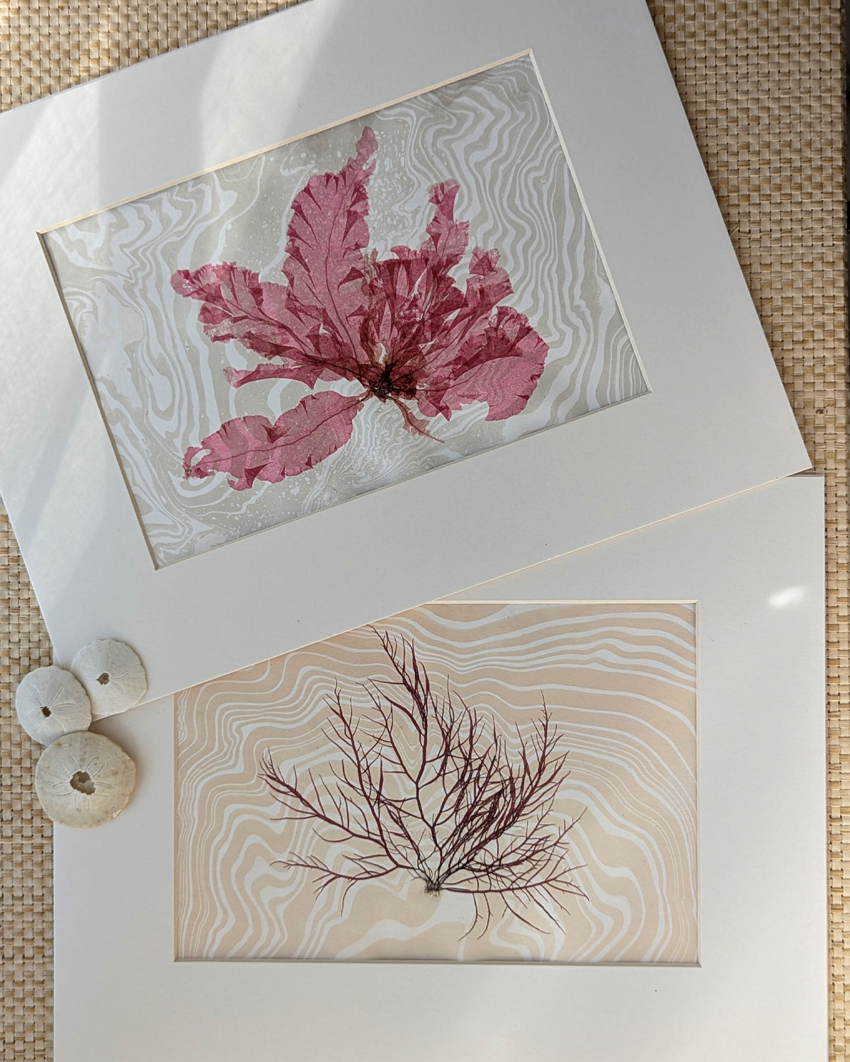 Two matted pressed ruby hued seaweed over sumingashi paper
